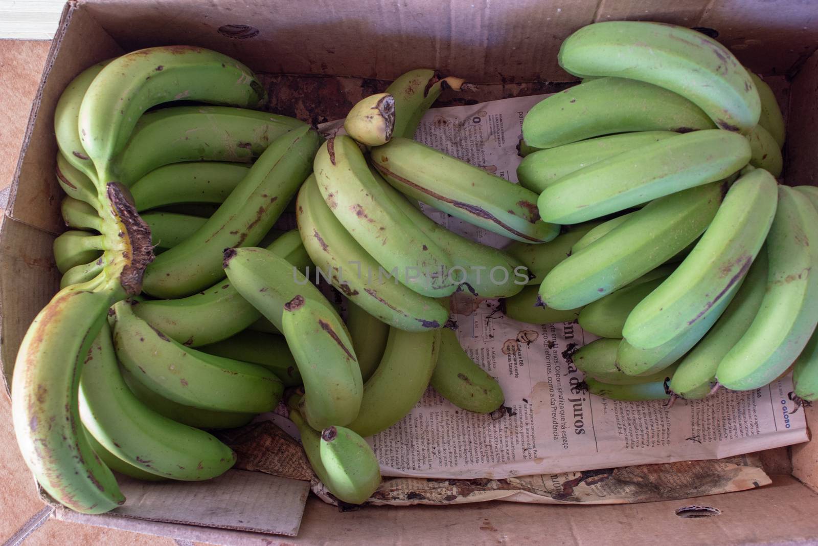 A box full of green bananas, not ready to be eaten yet
