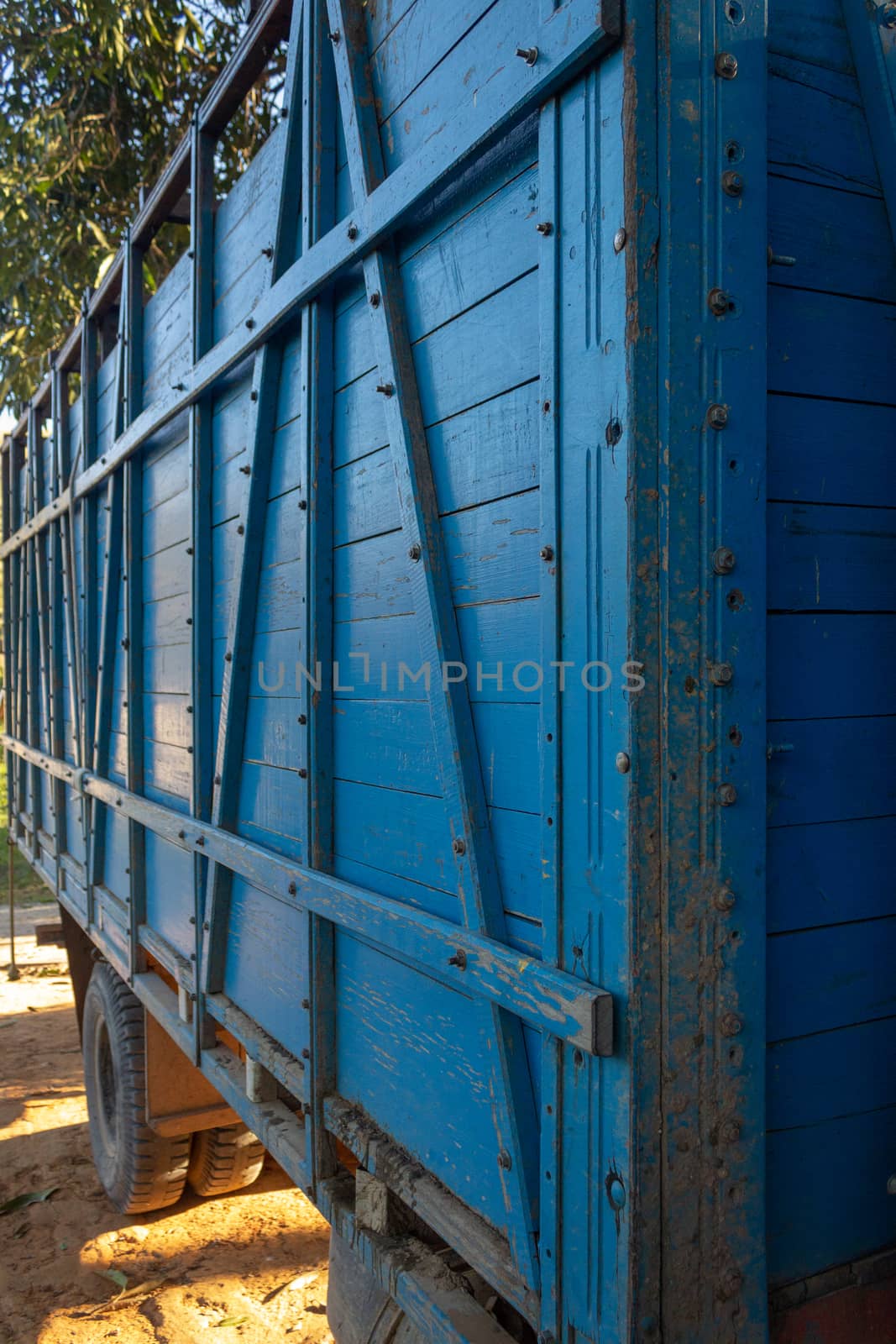 Blue truck used for transport of livestock between farms