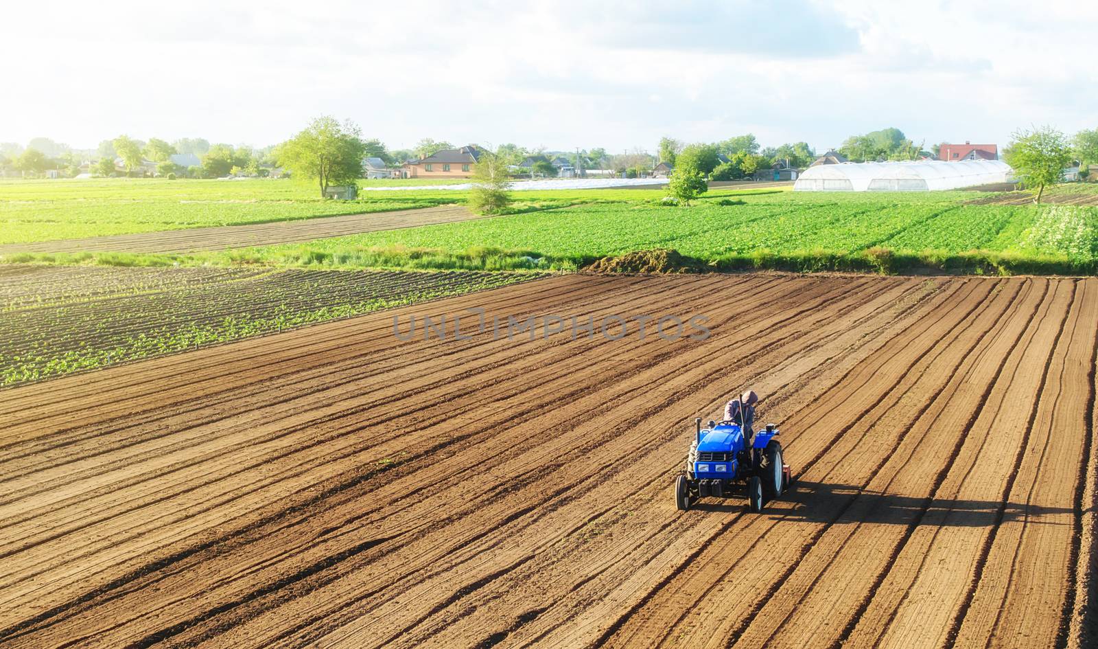A farmer on a tractor processes a farm field. Cultivating land soil for further planting. Loosening, improving soil quality. Food production on vegetable plantations. Farming and agriculture. by iLixe48