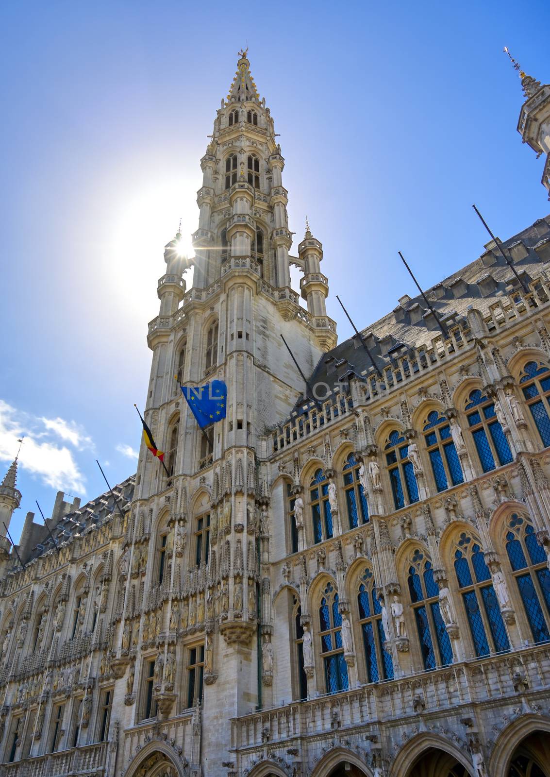 Town Hall in Brussels, Belgium by jbyard22