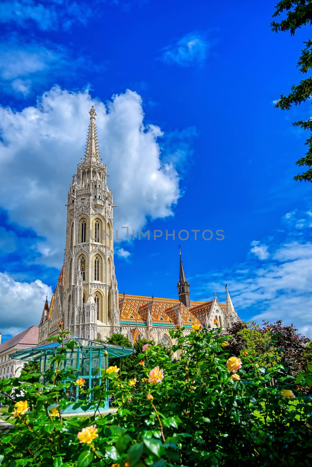 The Church of the Assumption of the Buda Castle, more commonly known as the Matthias Church, located in Budapest, Hungary.