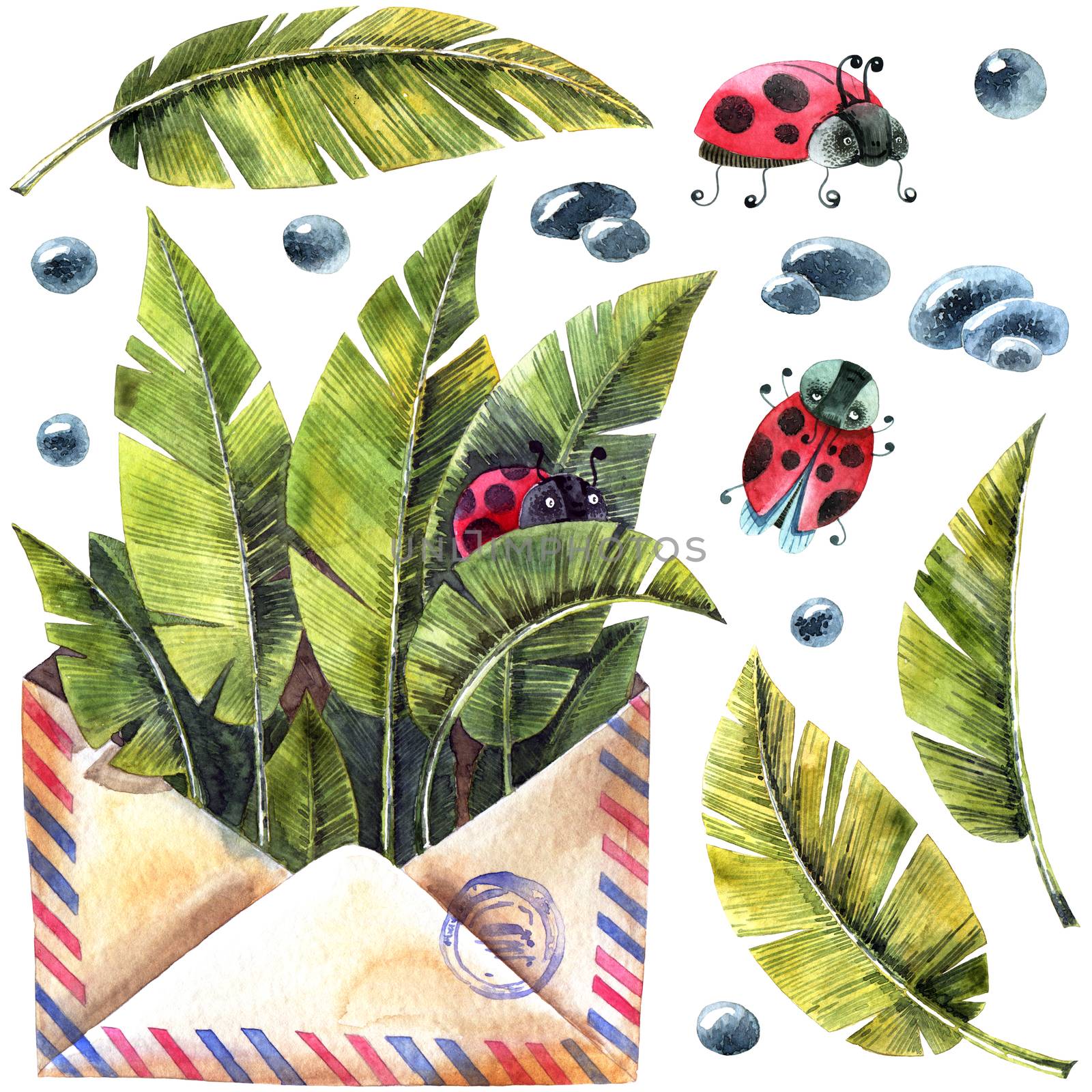 Watercolor illustration of envelop, leaves, ladybug and waterdrops. Artistic spring set.