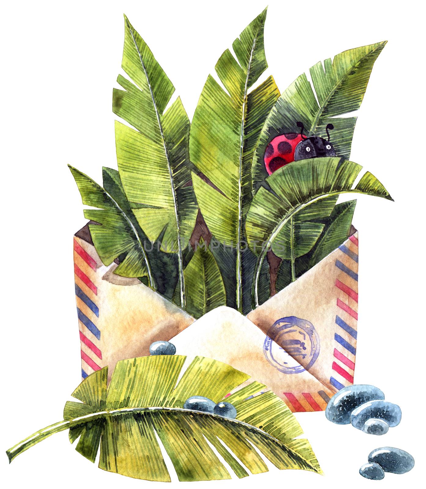 Watercolor illustration of envelop, leaves, ladybug and waterdrops