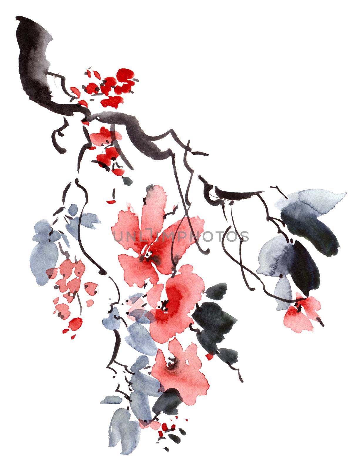 Watercolor and ink illustration of sakura tree with flowers and leaves. Oriental traditional painting in style sumi-e, u-sin and gohua.