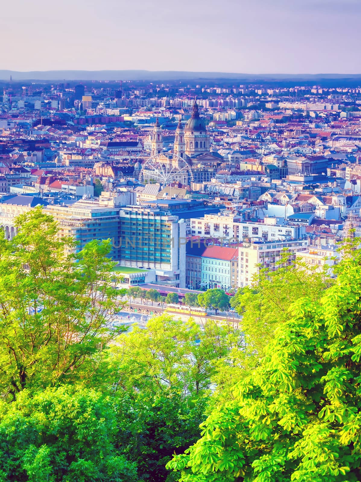 A view along the Danube River of Budapest, Hungary from Gellert Hill at sunset.