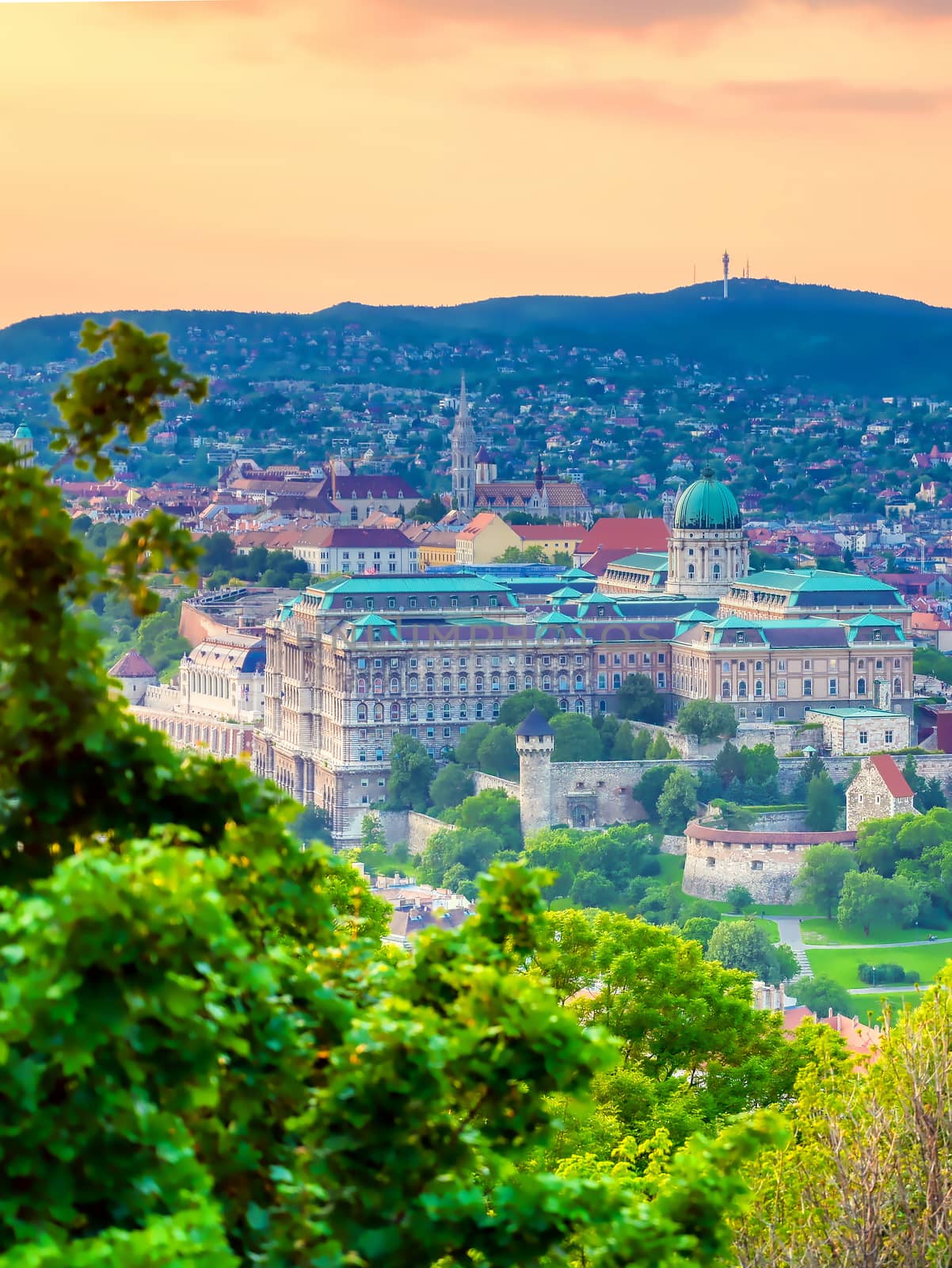 A view of Buda Castle in Budapest, Hungary at susnet.