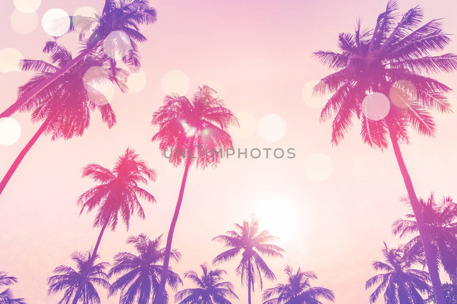 Tropical palm coconut trees on sunset sky flare and bokeh nature colorful fun background.