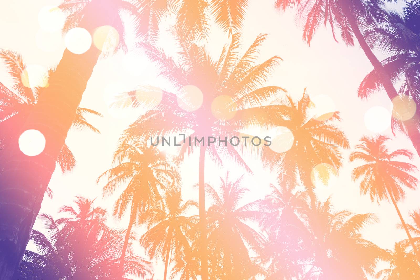 Tropical palm coconut trees on sunset sky flare and bokeh nature. by Suwant