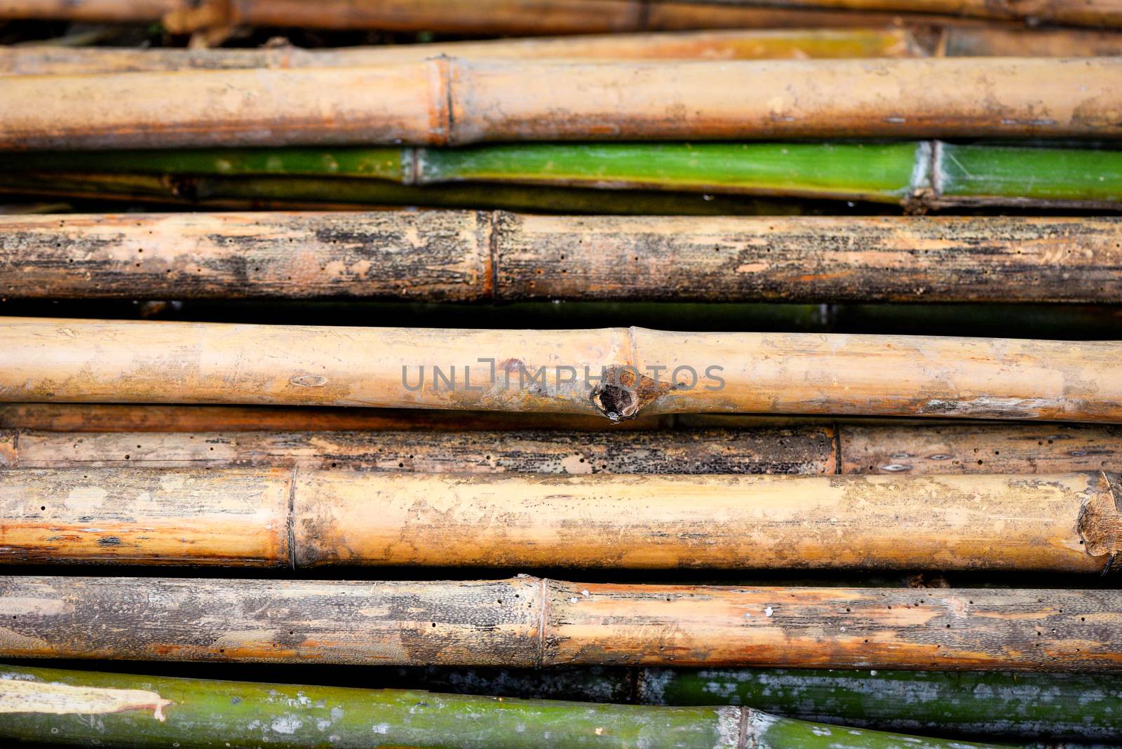 old bamboo wall background / nature wall 
