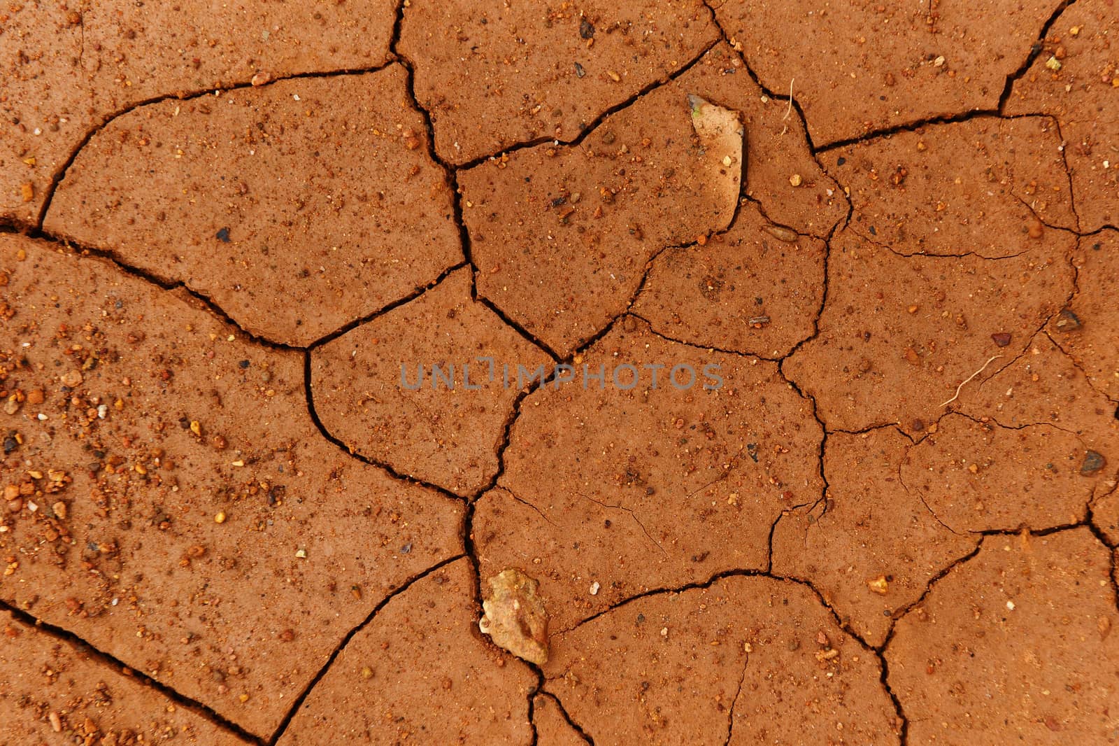 Cracks of the dried soil in arid season / Arid soil , Cracked earth texture of ground broken and rough surface red mud clay top view 