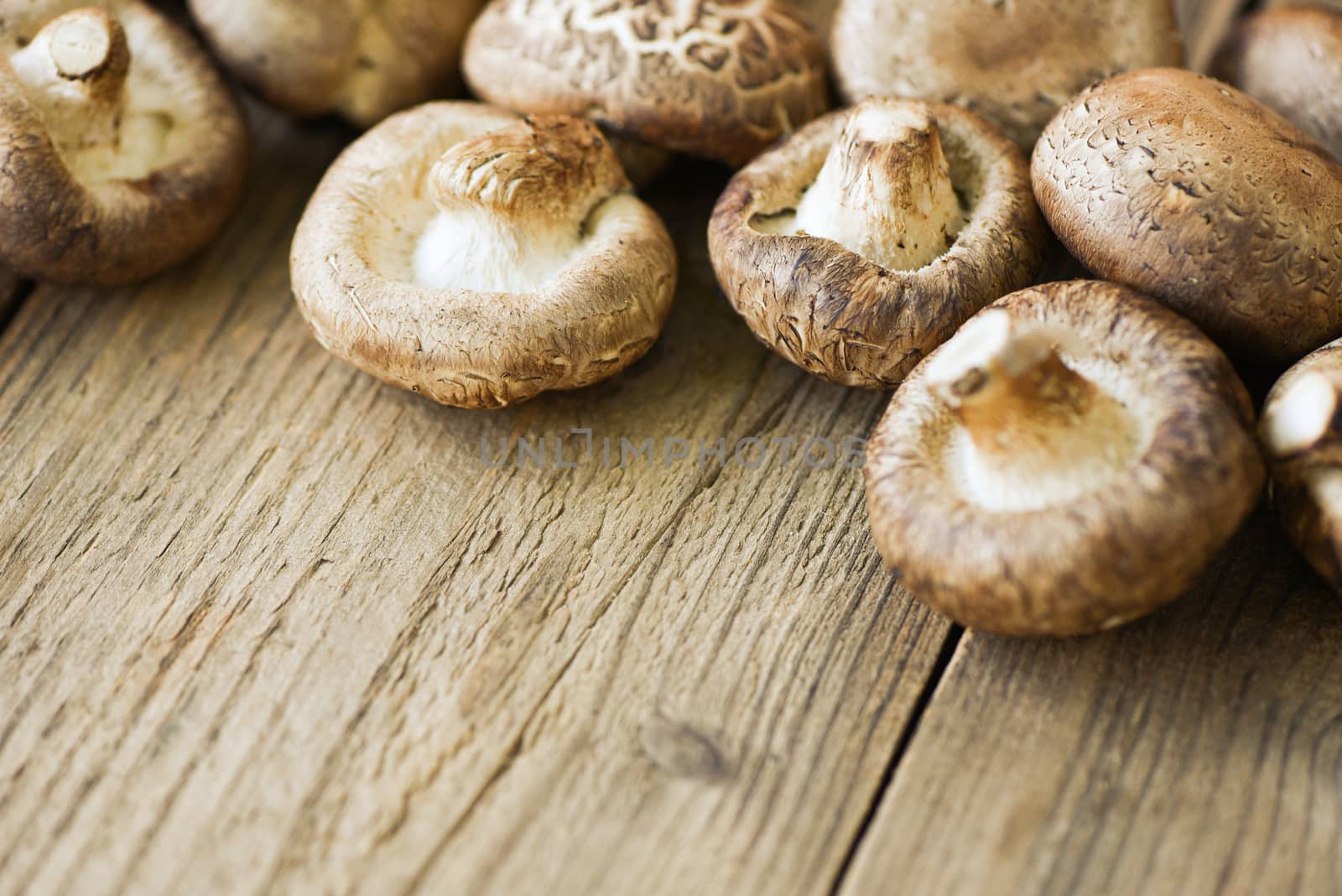 Fresh mushrooms on wooden table background / Shiitake mushrooms
