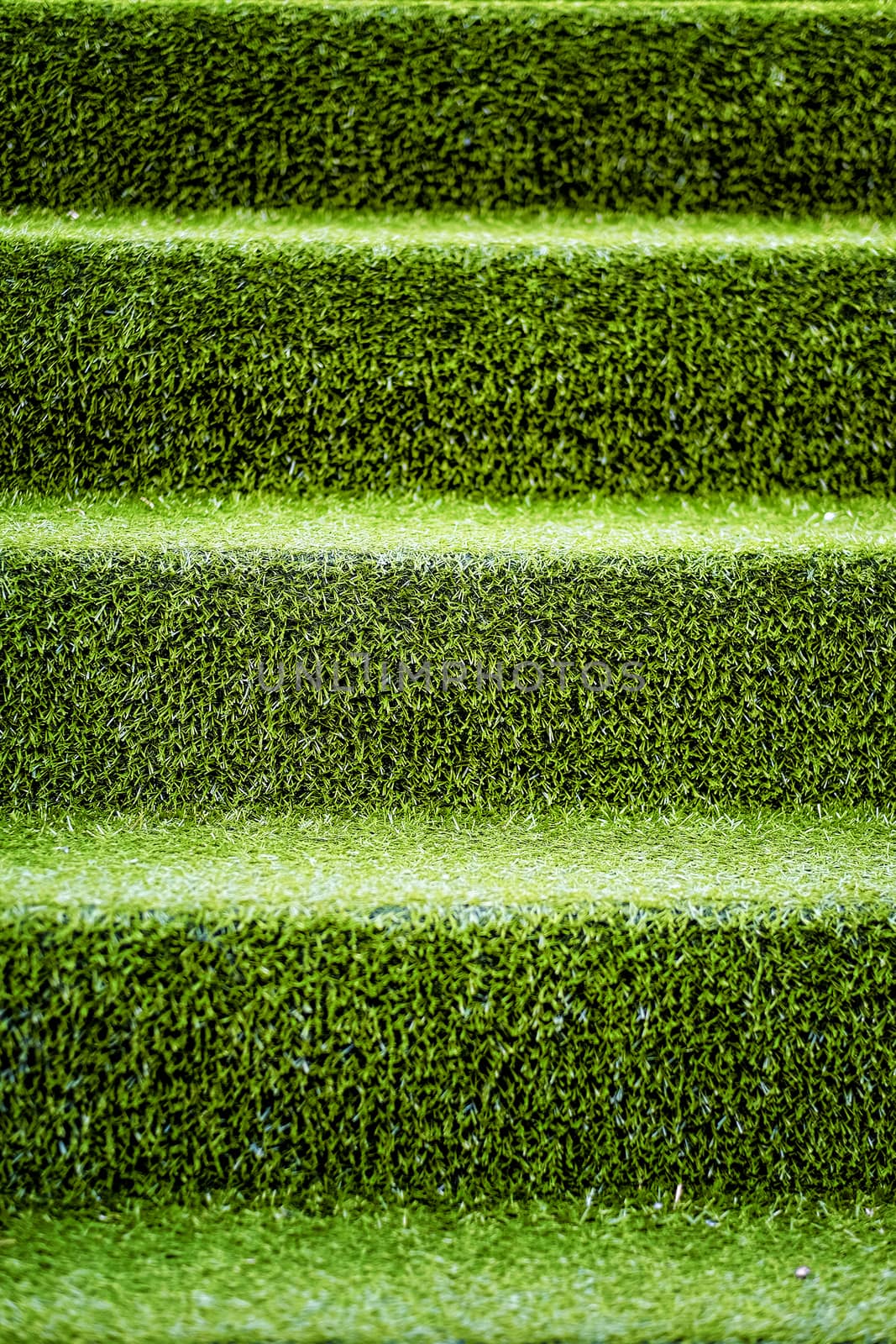 Stair covered with green grass by Surasak