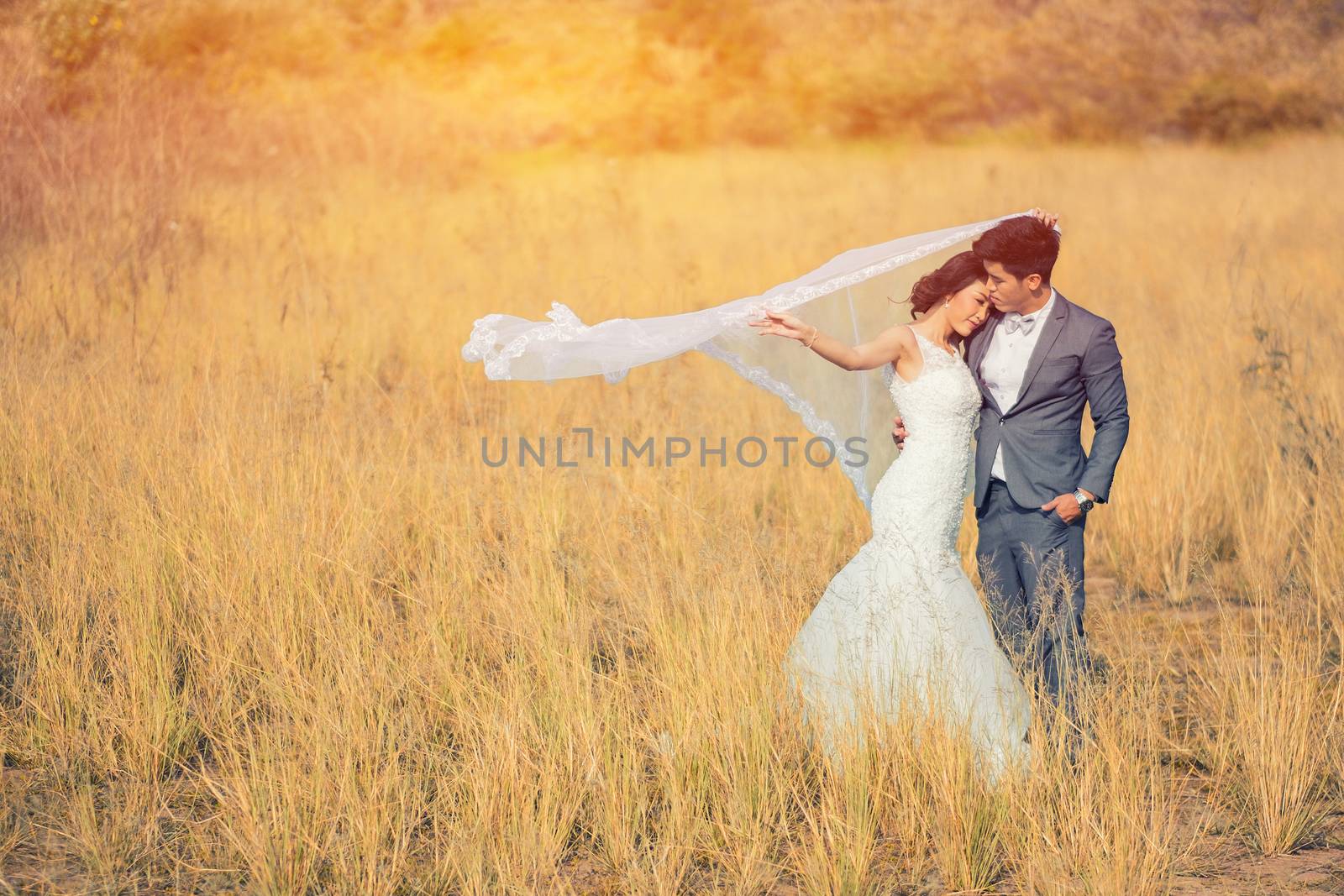 Happy romantic young couple in Meadow