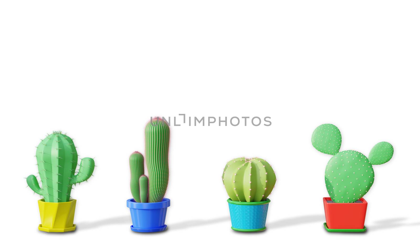 Four cactus difference species in cartoon minimal style with a white background. Copy space for your heading on top of the object. The concept of lover and like cactus. 3D illustration rendering.