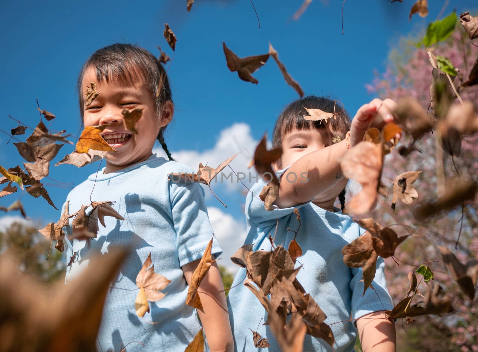 Cheerful little child girl with her sister throwing yellow leaves in autumn park. by TEERASAK