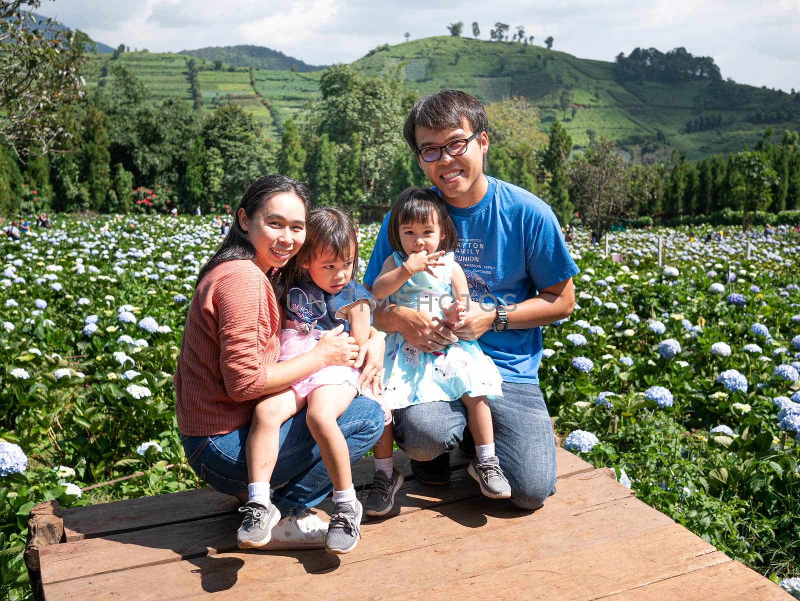 Happy family sitting on wood bridge in hydrangea garden over trees  with mountains background under blue sky in summer day.