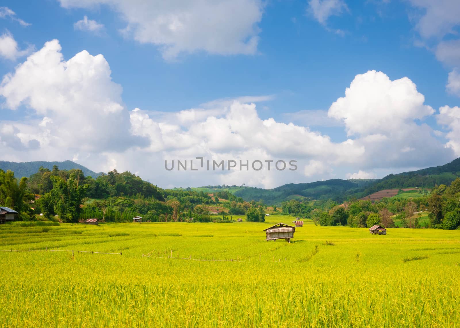 Landscape of agricultural areas of people in Chom Thong district, Chiang Mai, Thailand from the top of the mountain in the morning.
