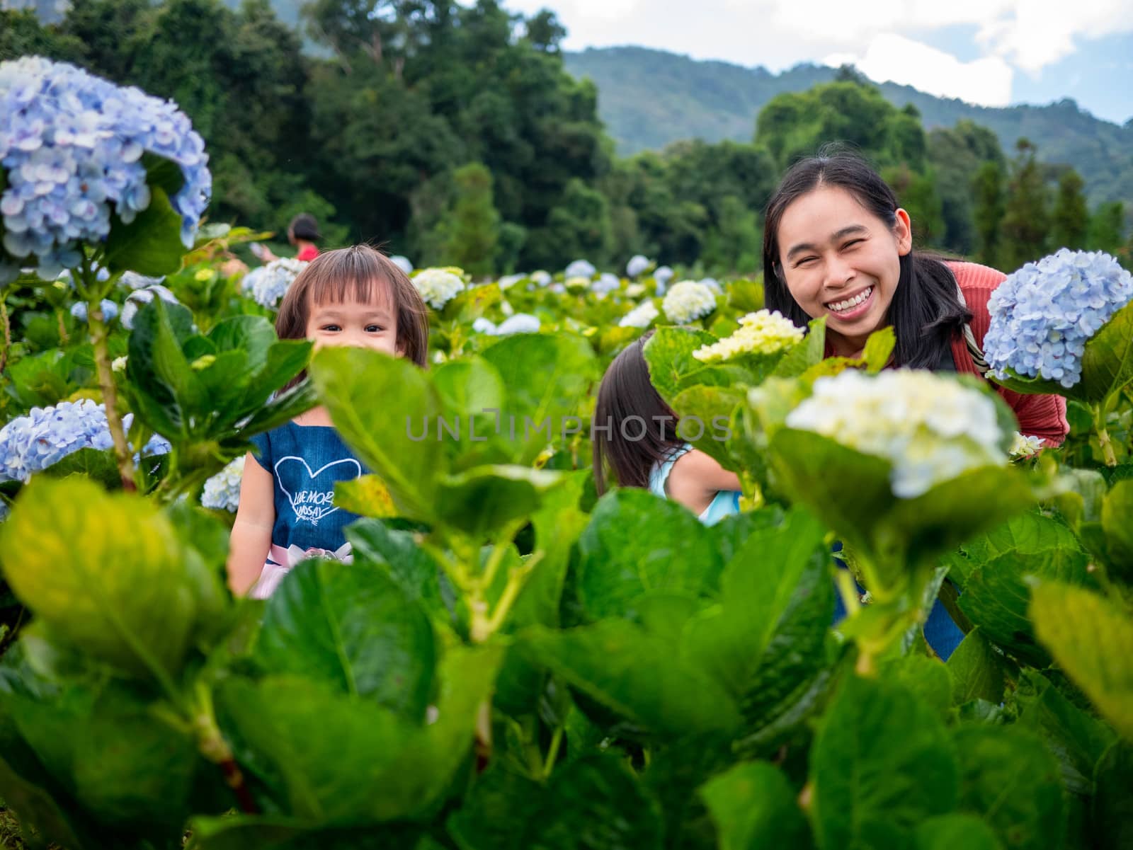 Happy family sitting on wood bridge in hydrangea garden over trees  with mountains background under blue sky in summer day.