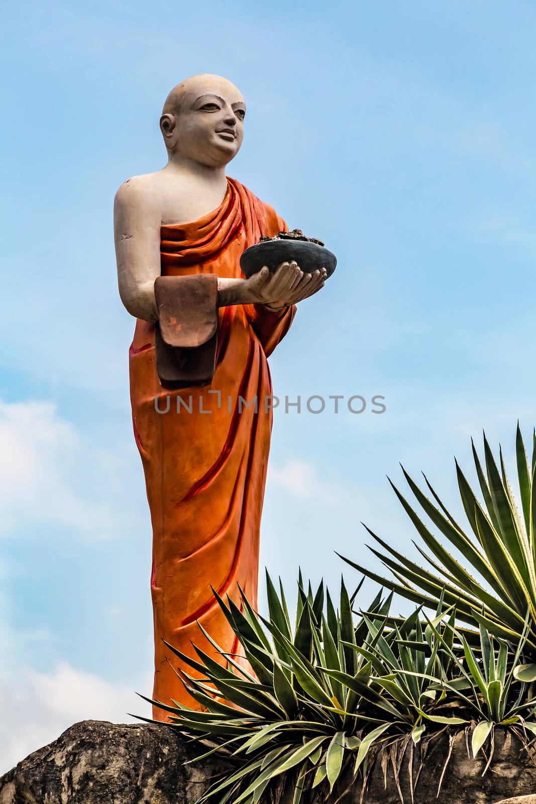 Monk buddhist walking on mountain Sri Lanka