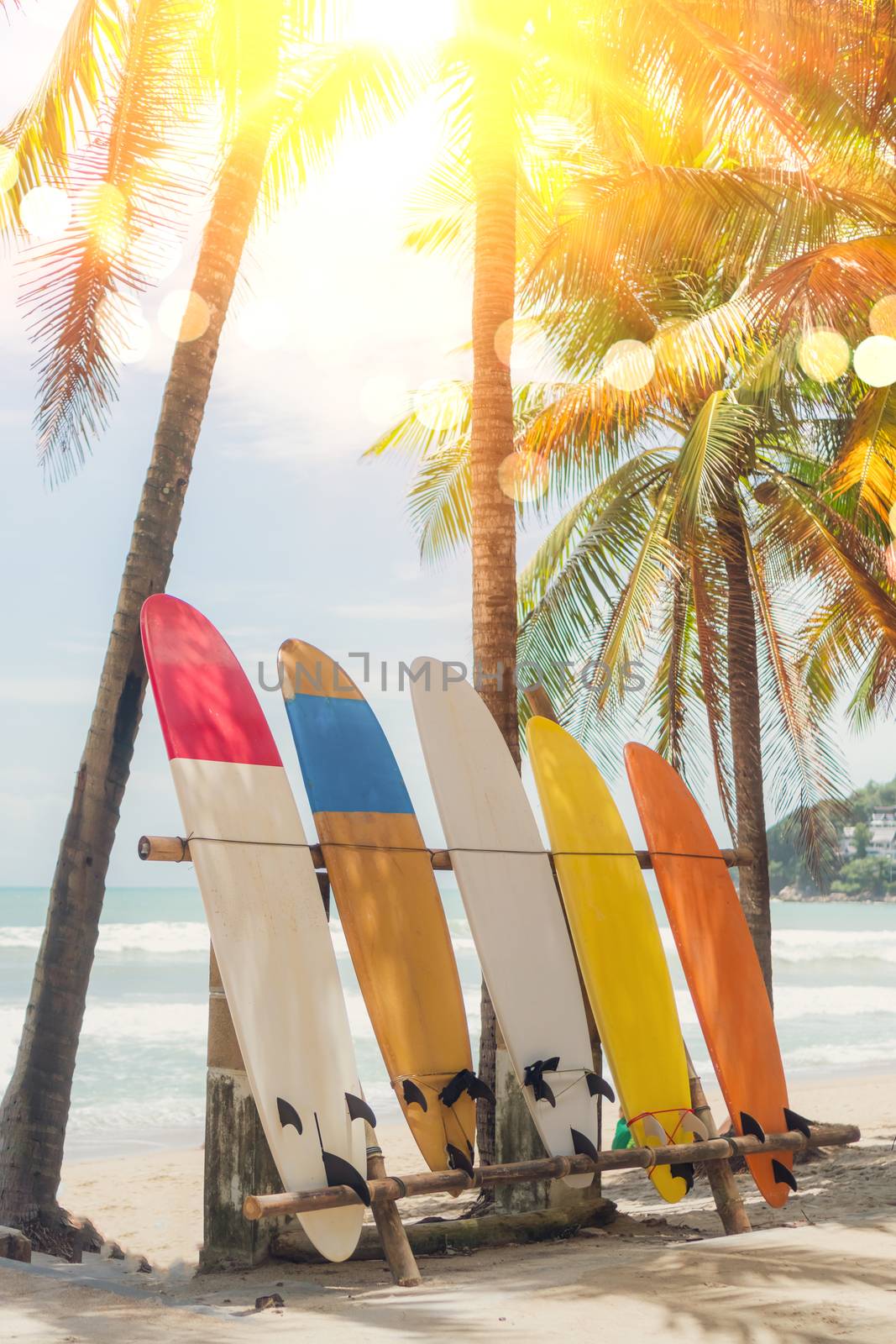 Many surfboards beside coconut trees at summer beach with sun light and blue sky background.