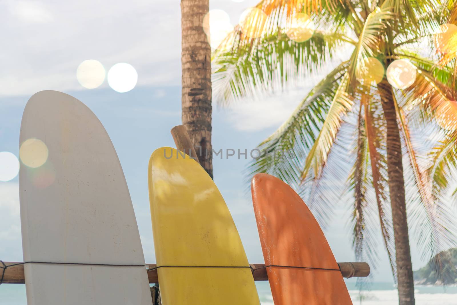 Many surfboards beside coconut trees at summer beach with sun light and blue sky background.