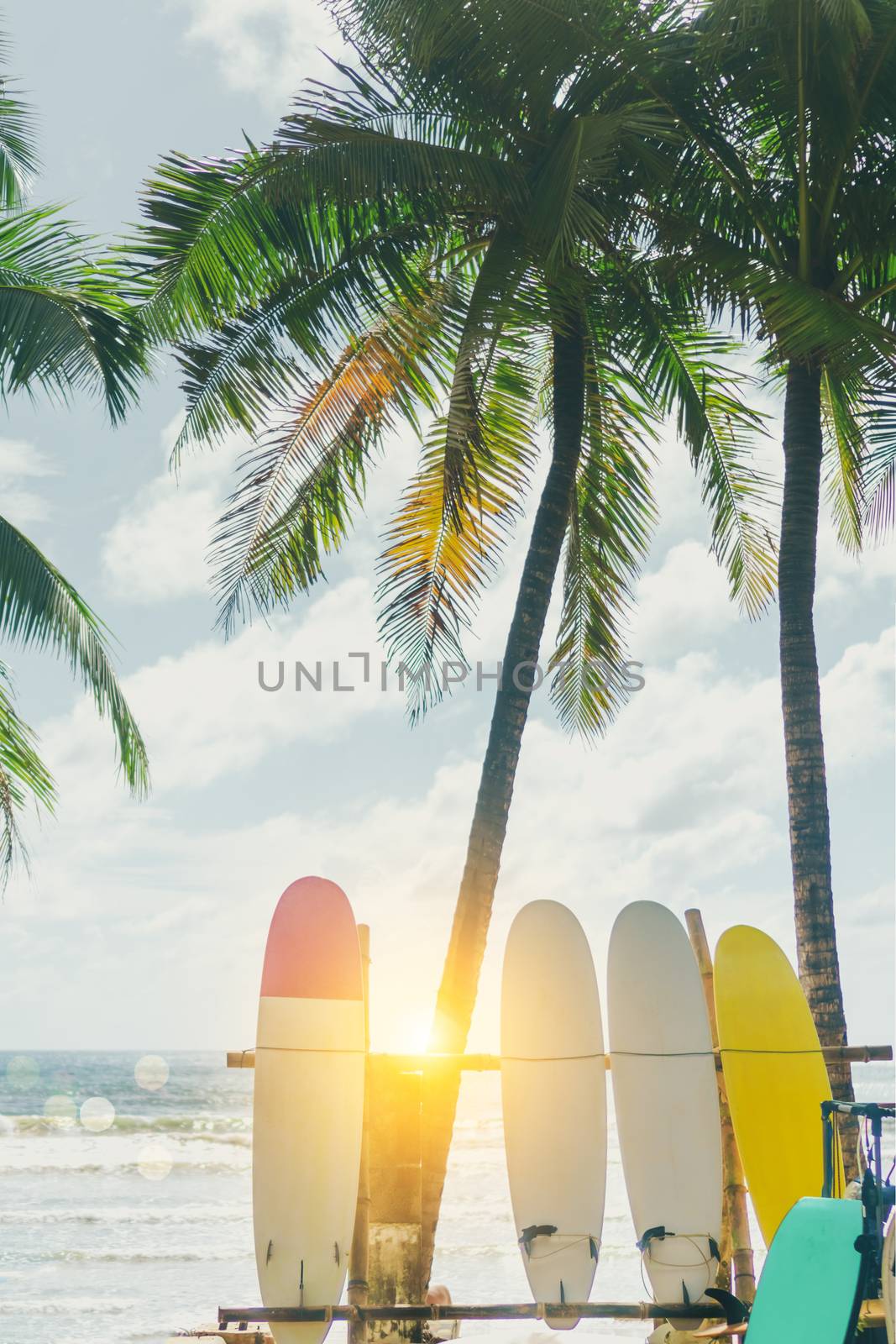 Many surfboards beside coconut trees at summer beach with sun light and blue sky background.