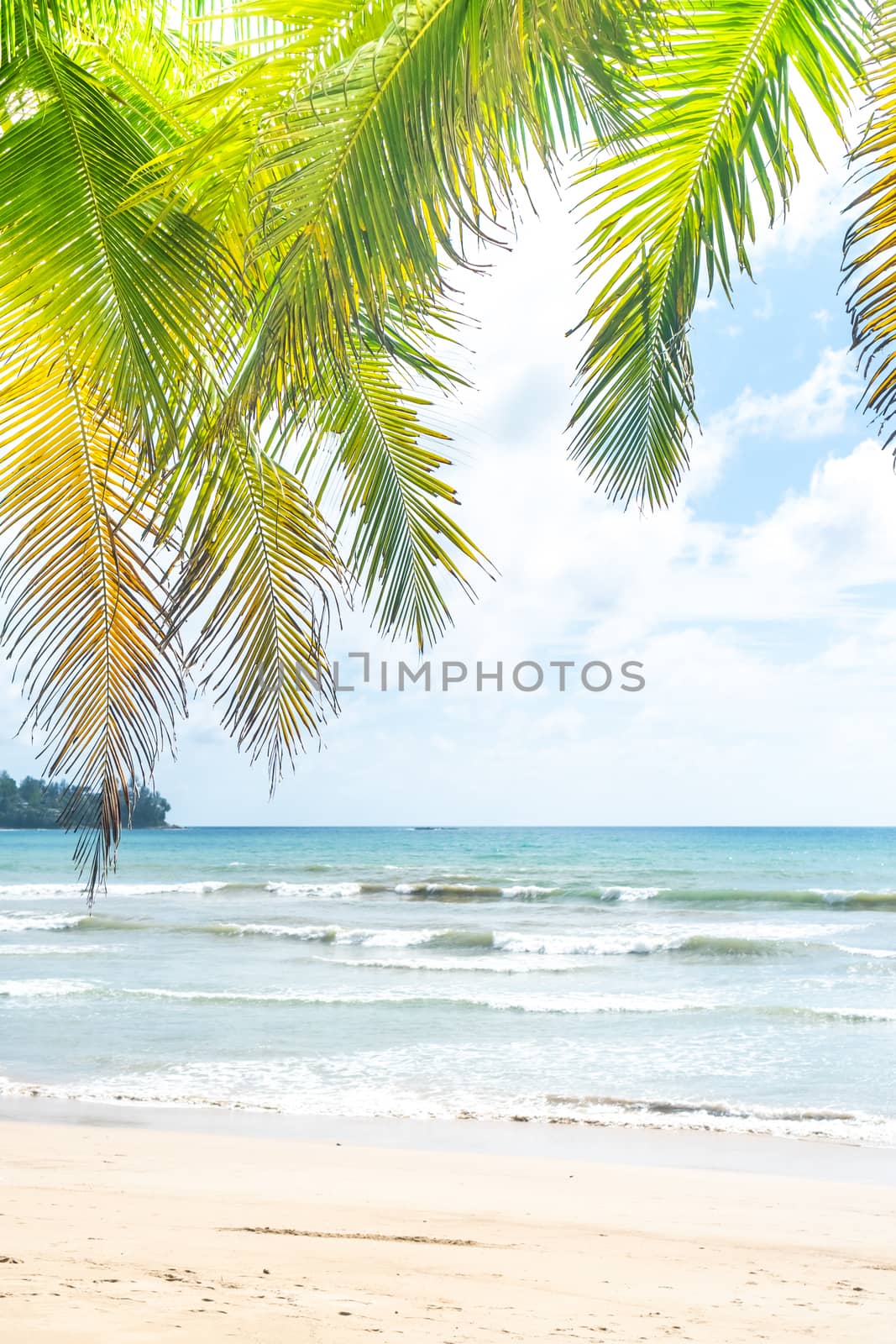 Tropical nature clean beach and white sand in summer with sun light blue sky and bokeh background. by Suwant