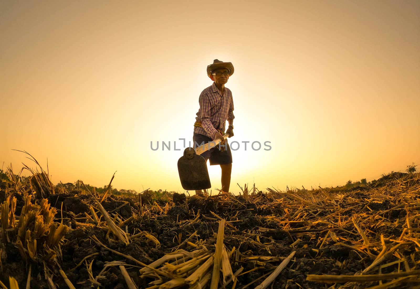 Elderly Asian farmers shoveling and prepare the soil with a spade for planting on sunset background.