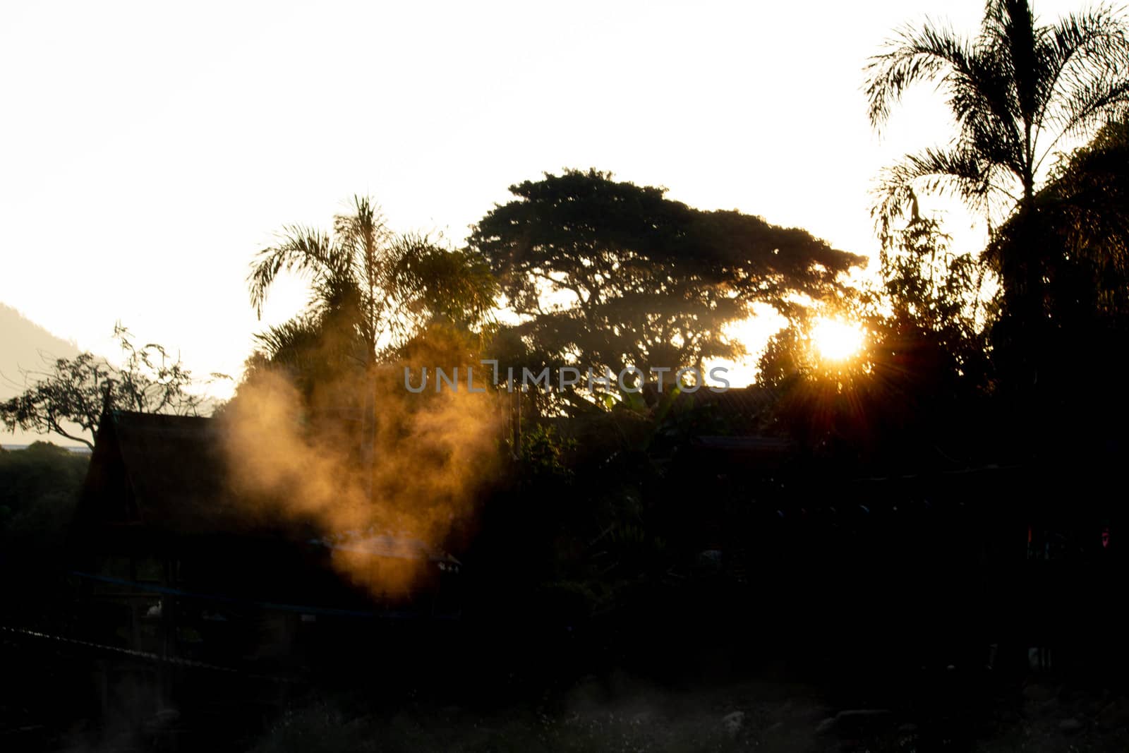 The beautiful views of trees and sunlight rising in the countrys by TEERASAK