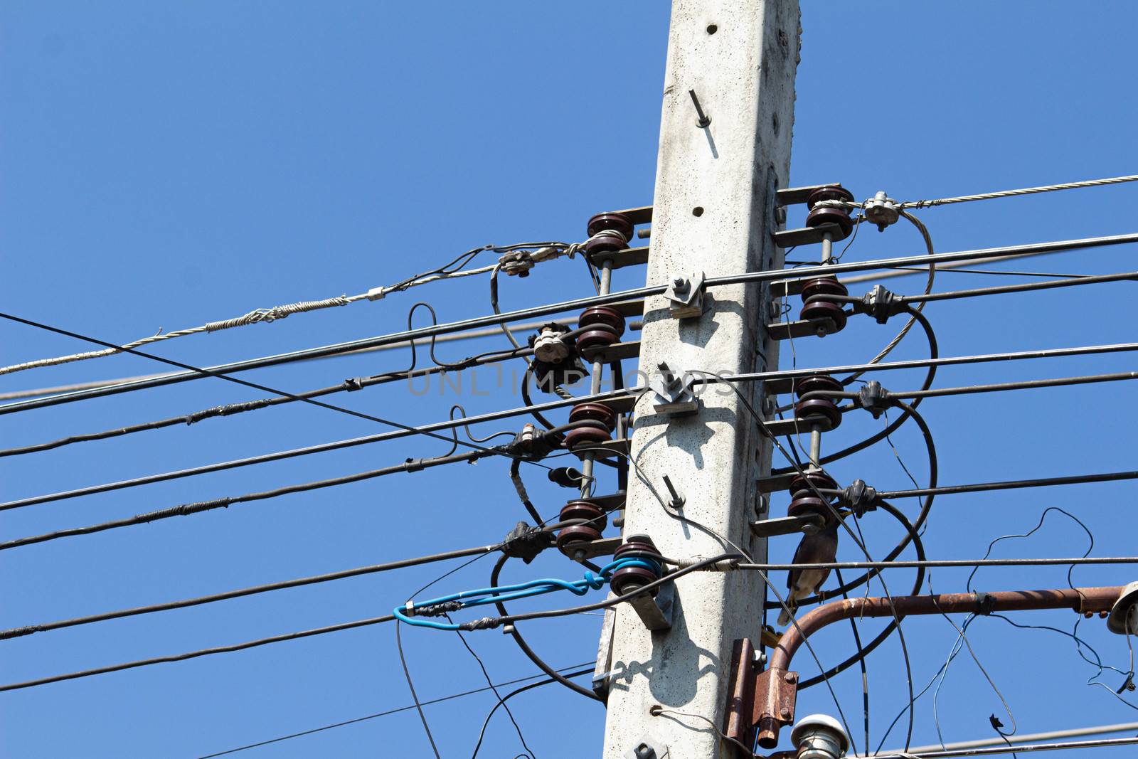 Messy electrical cables and wires on electric pole on clear blue by TEERASAK