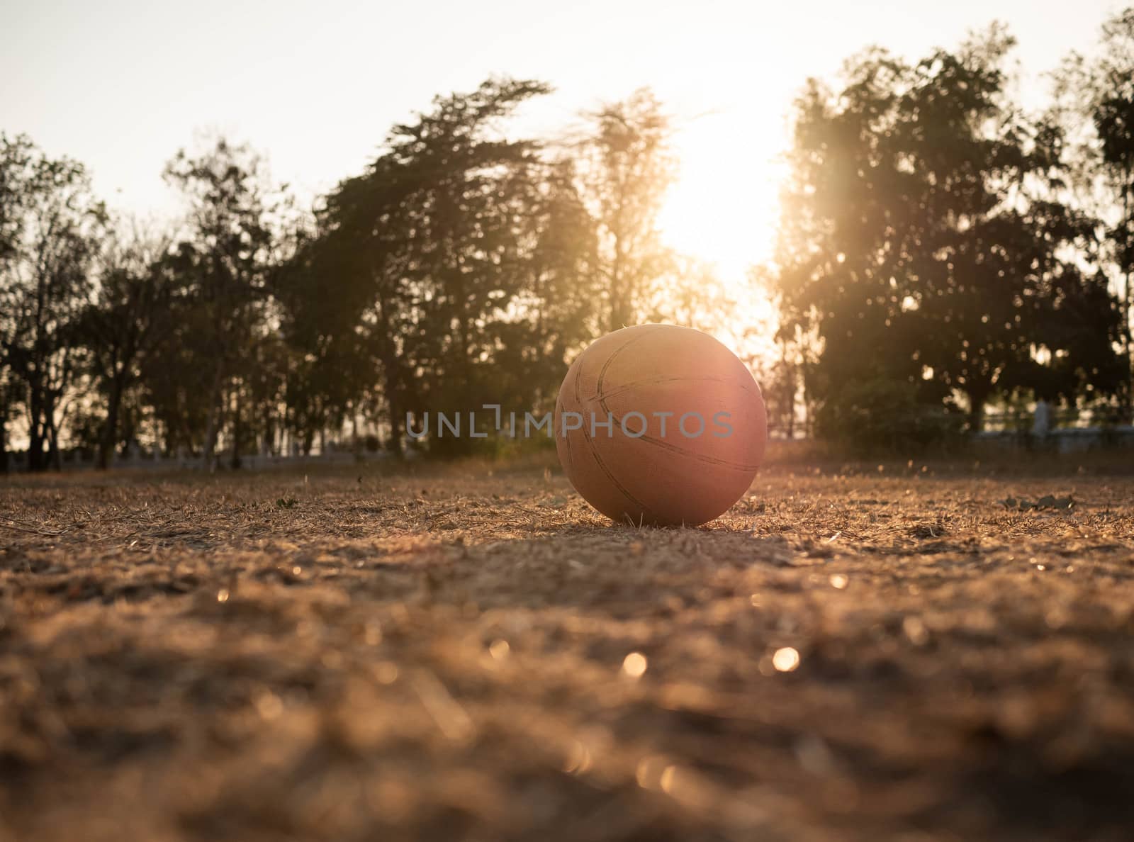 Basketball on grass ground with sunset light background in the public stadium.