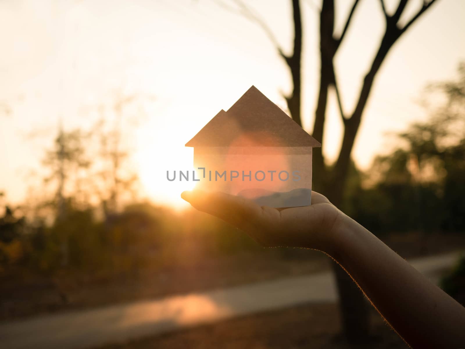 Hand holding a paper cut of house symbols in autumn park on sunset background. by TEERASAK