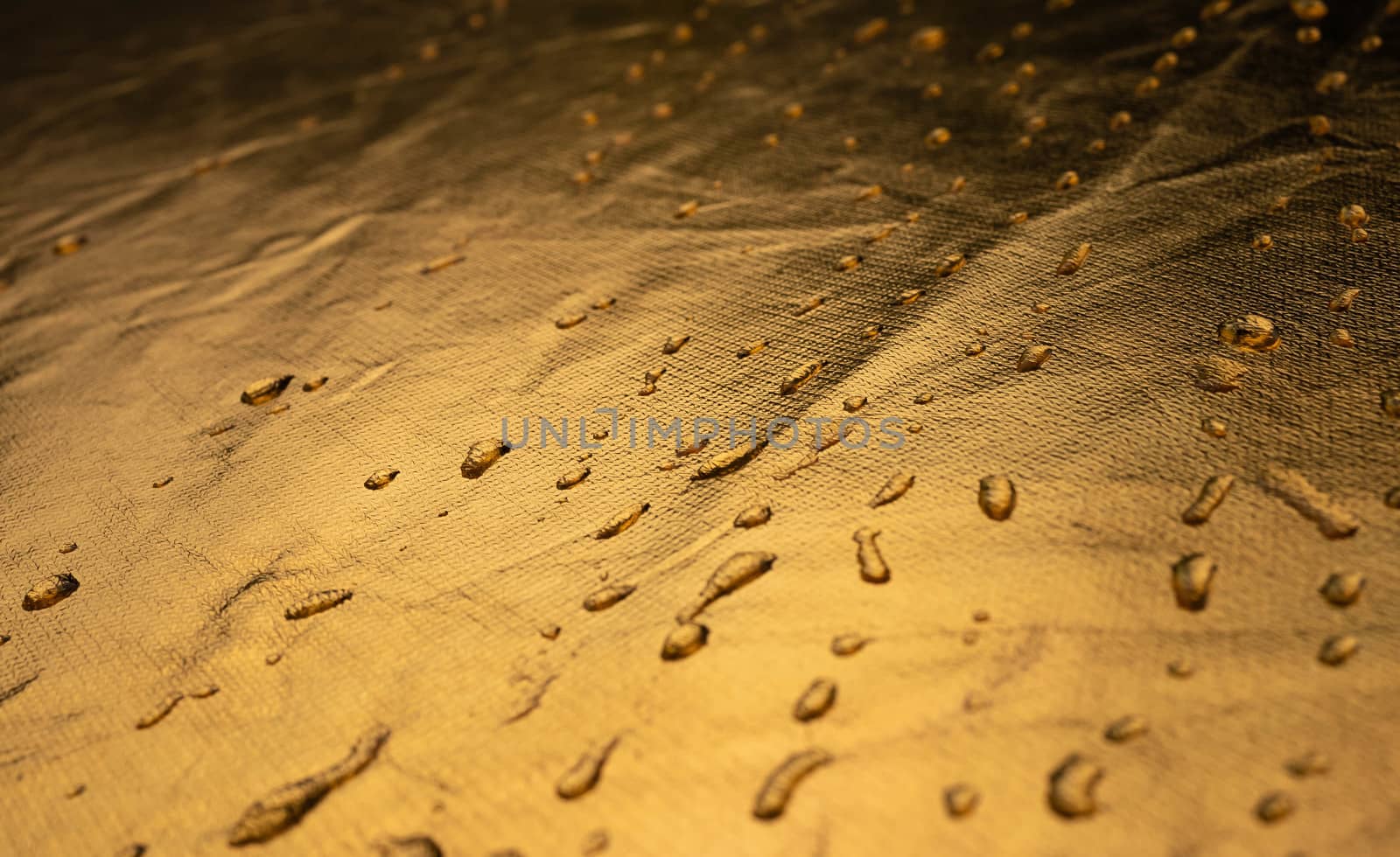 Rolling water droplets on light golden background. by TEERASAK