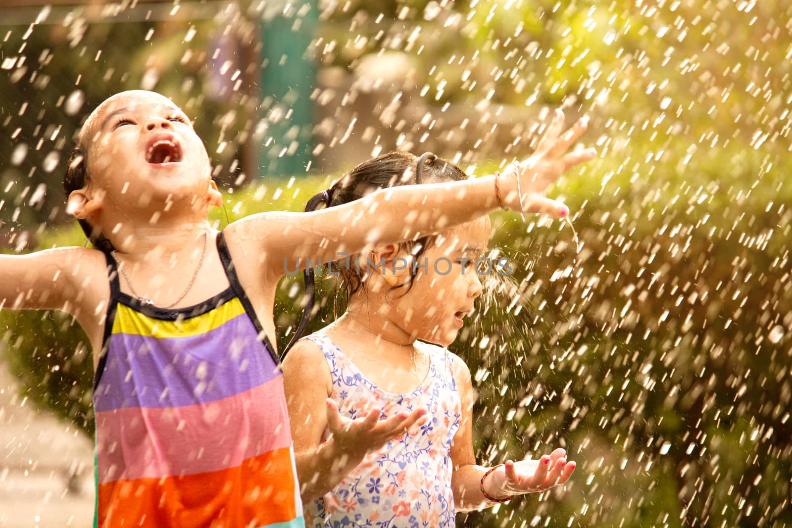 Cute little girl having fun in rainy at backyard. Children enjoy by TEERASAK
