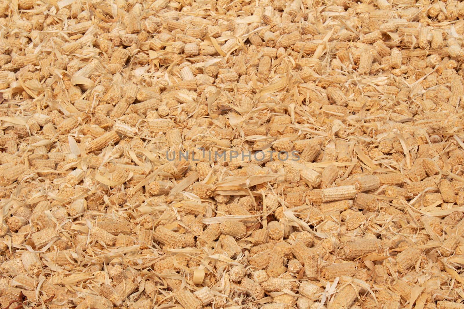Close up of Dry stack of corn husk on the ground after harvesting in northern Thailand.