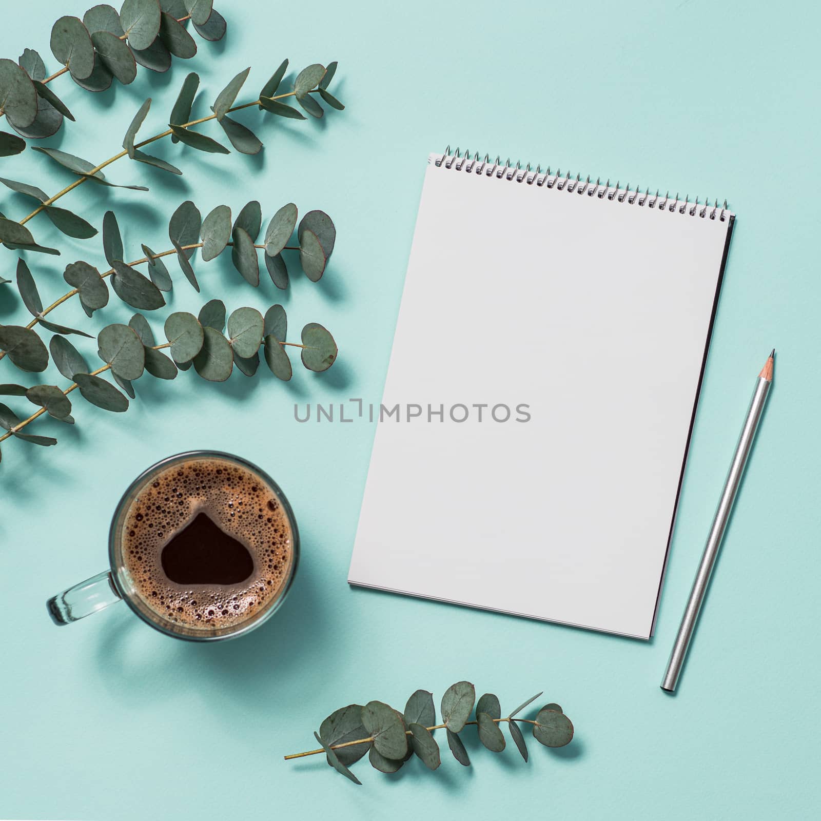 Blank paper notebook and eucalyptus. copy space by fascinadora