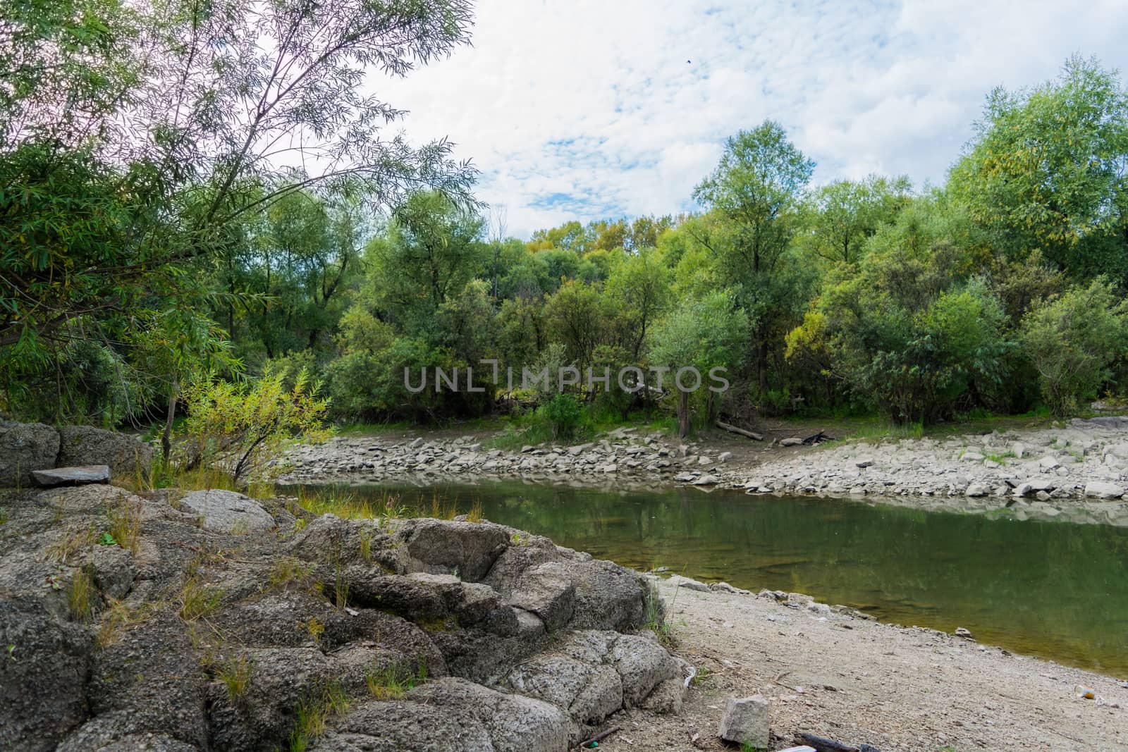 Landscape by the river against the backdrop of the forest on a summer day.