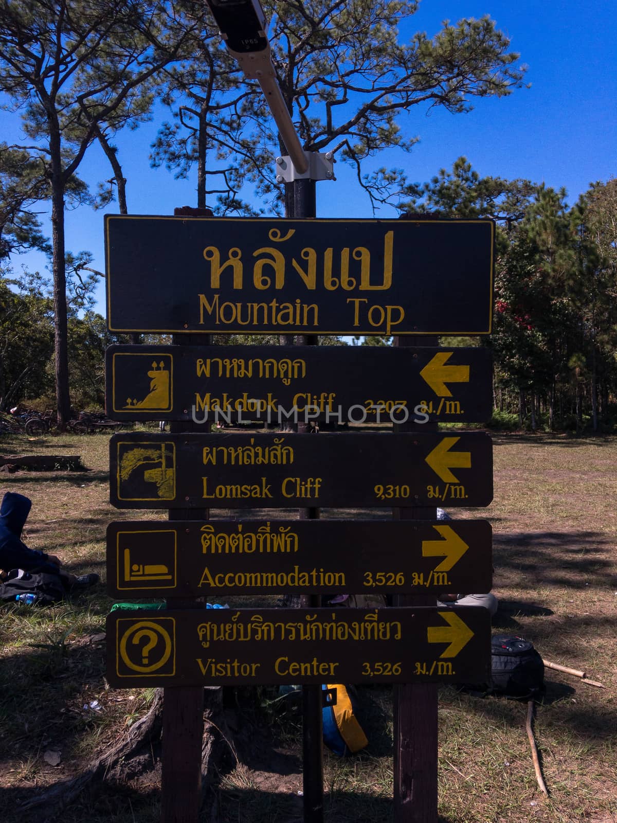 Loei, Thailand - 17 December 2017: Atmosphere of Phu Kradueng National Park.