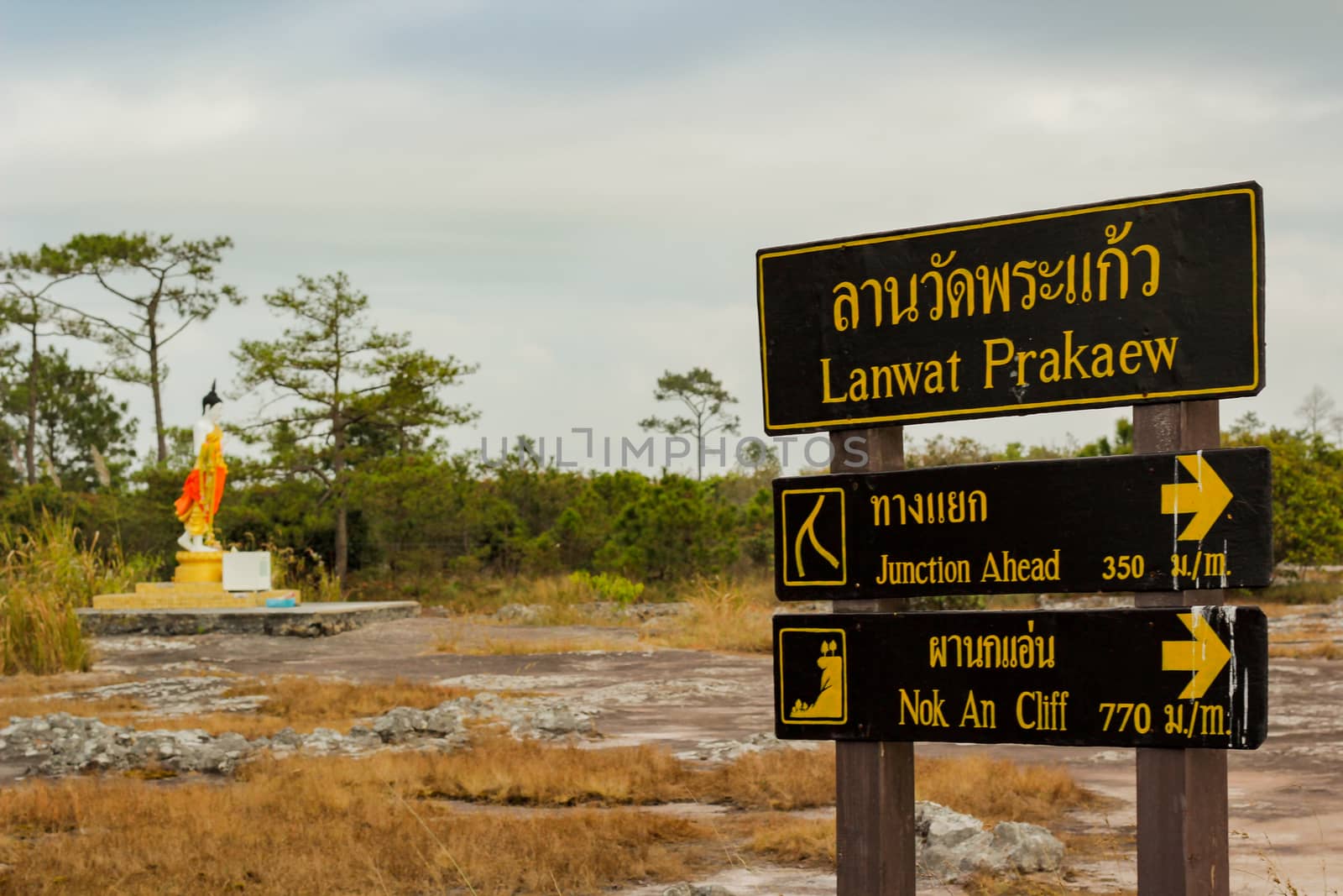 Loei, Thailand - 17 December 2017 : Phu Kradueng National Park. by suthipong