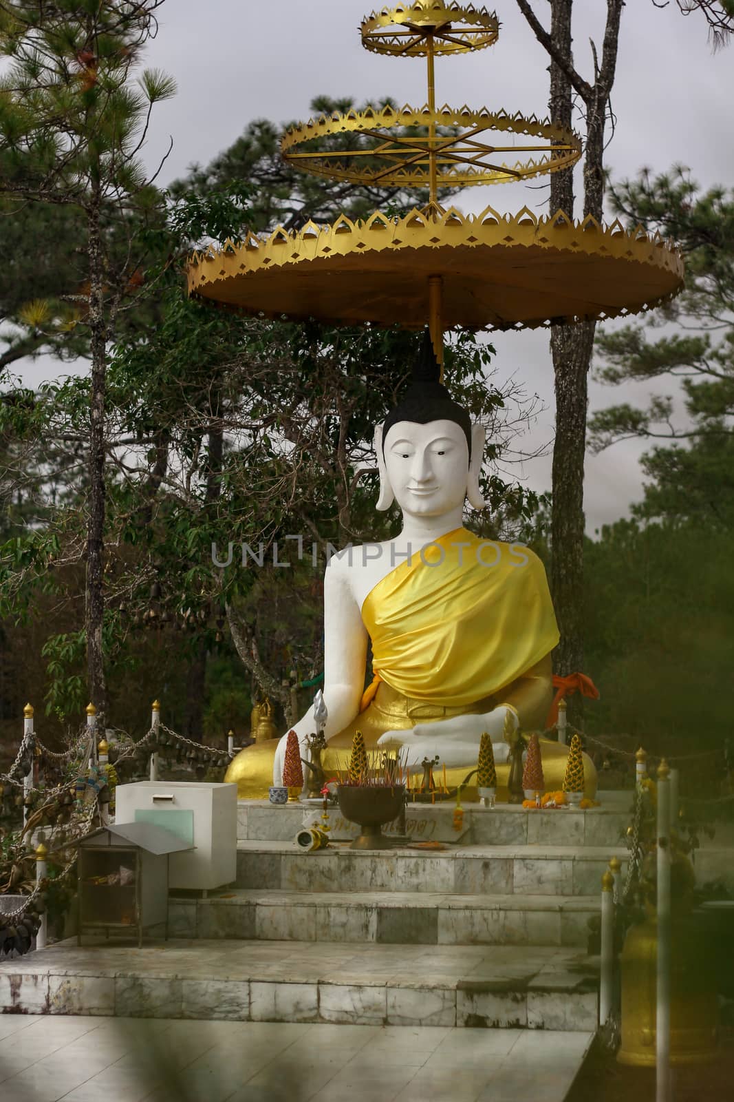 Loei, Thailand - 17 December 2017 : Phu Kradueng National Park. by suthipong