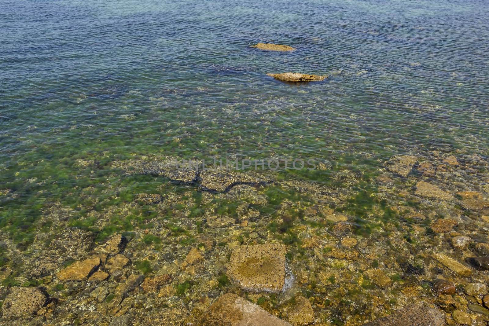 seaside cliffs and seaweeds