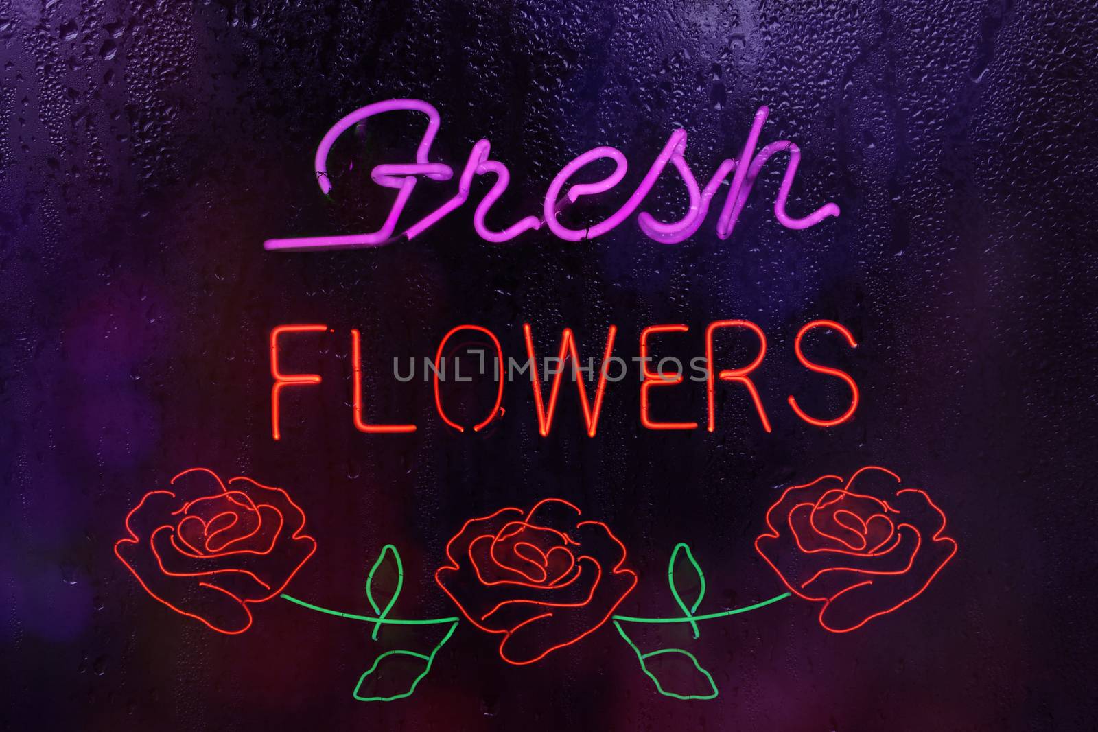 Fresh Flowers Neon Sign by Marti157900