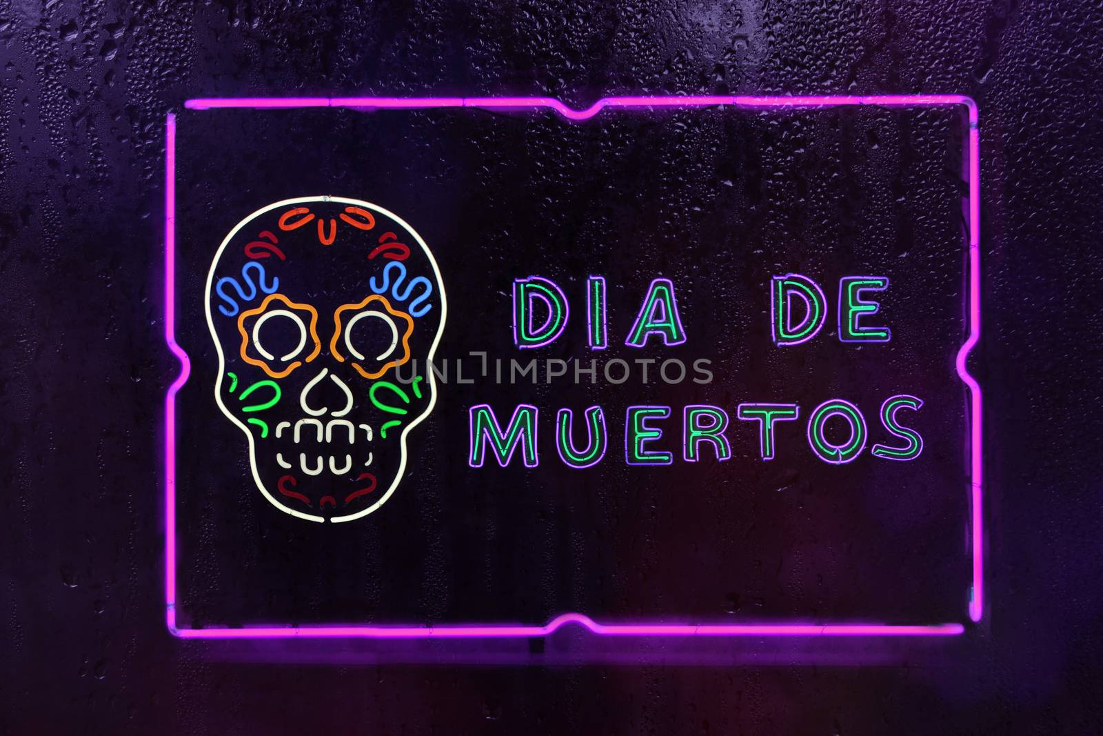 Neon Dia De Muertos Sign Mexican Day of Dead Festival