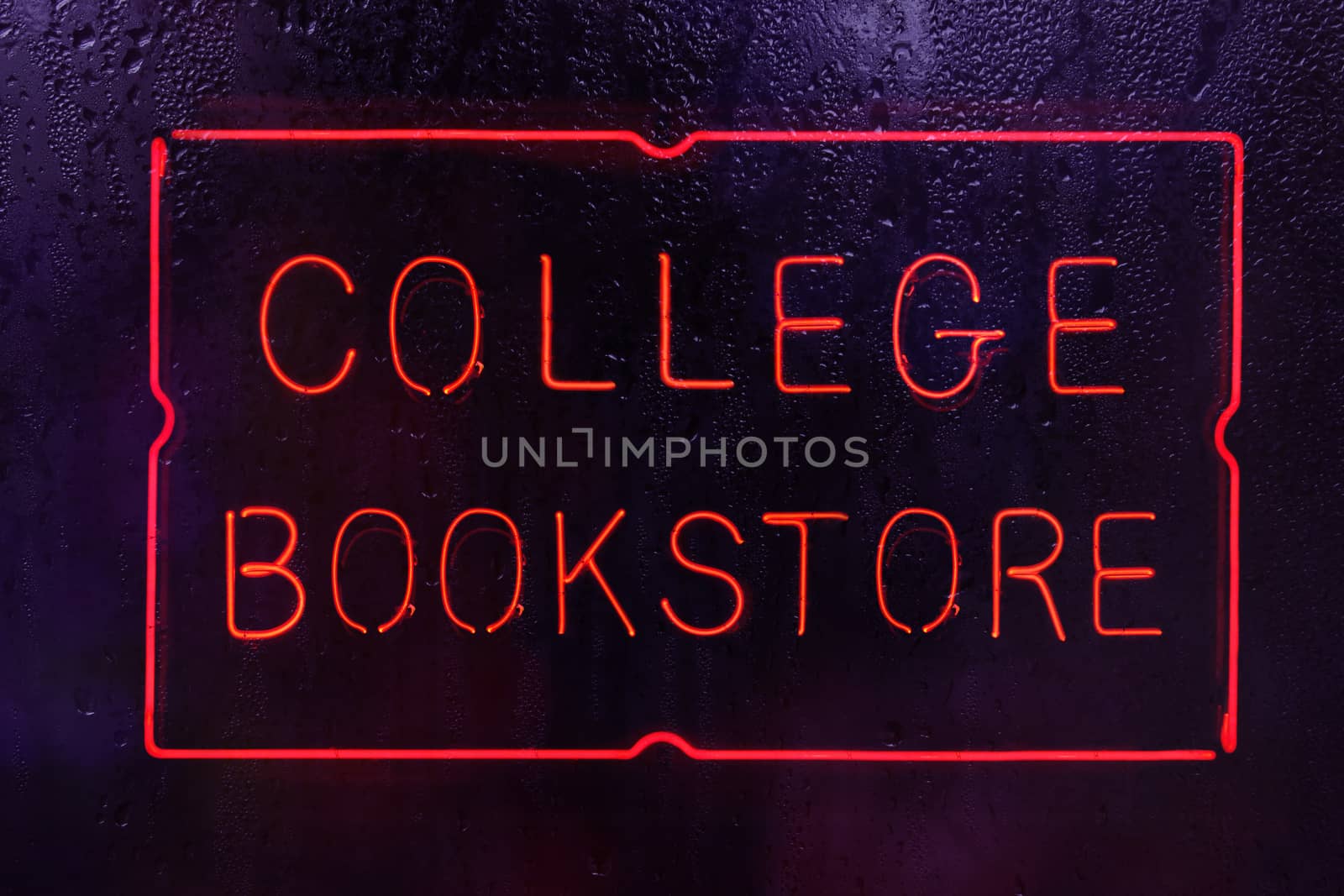 Neon College Bookstore Sign by Marti157900