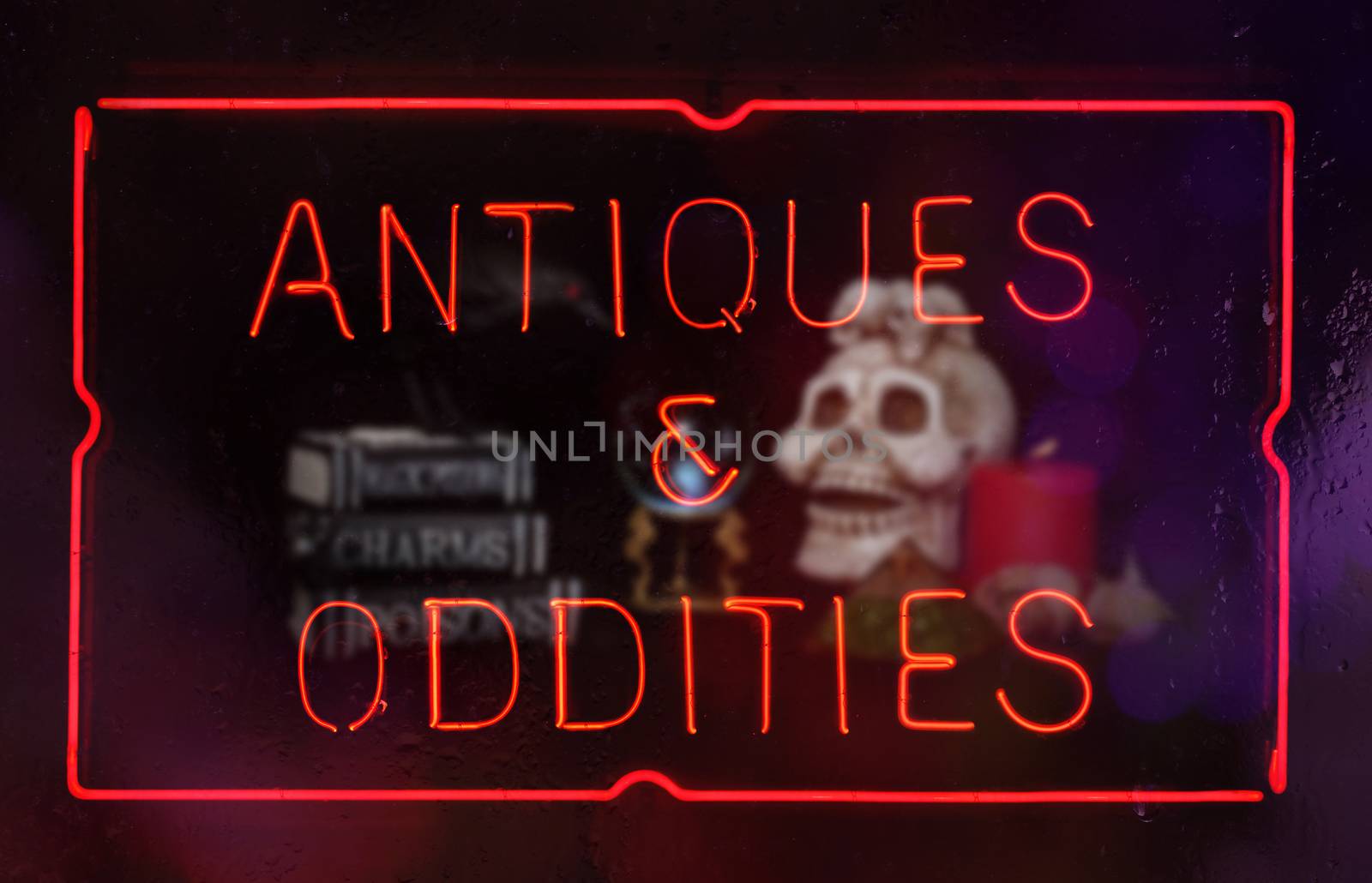 Oddities and Antiques Neon Sign in Shop Window Composite Image