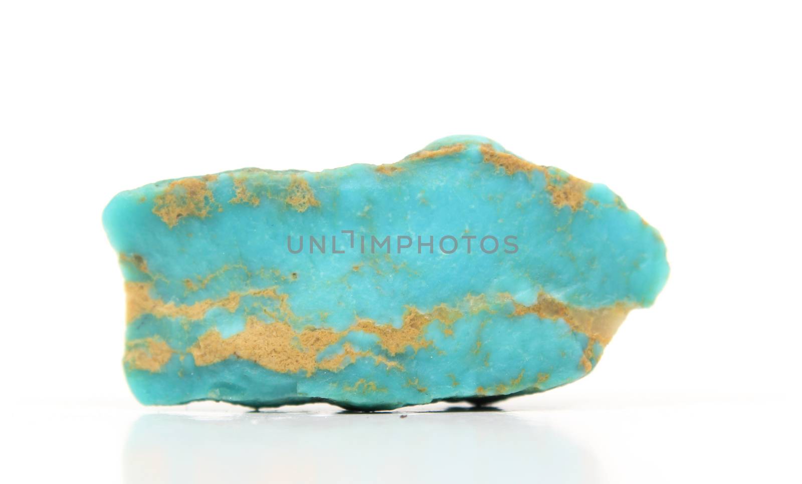 Turquoise on White Background by Marti157900