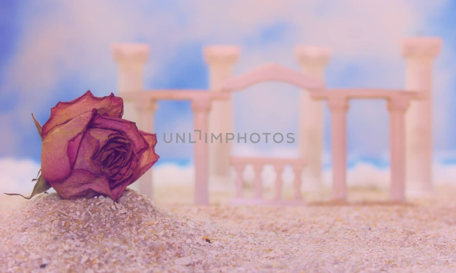 Dried Flower on Tropical Beach With Roman Style Ruins by Marti157900