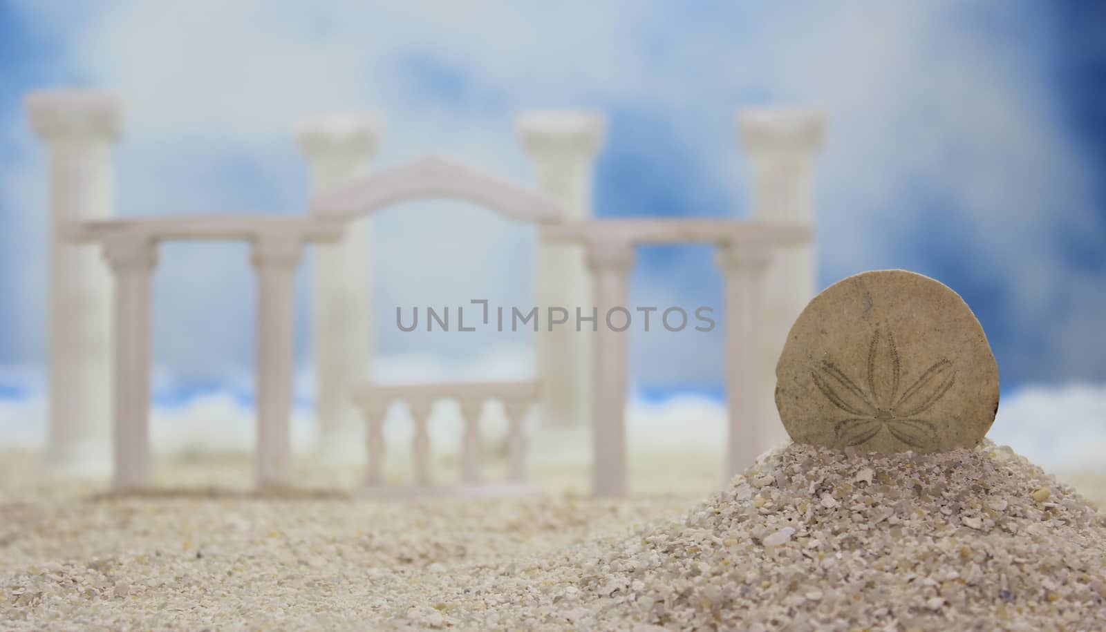 Seashell on Tropical Beach With Roman Style Ruins Sand Dollar