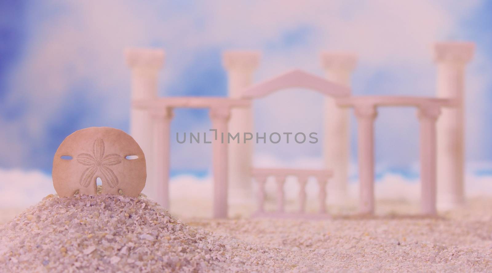 Sea Shells on Beach With Old Ruins in Background by Marti157900
