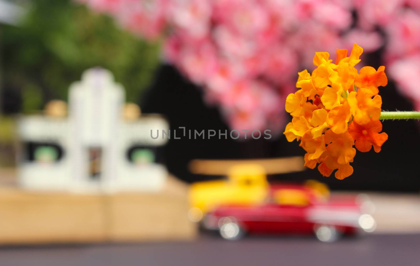 Flowers Closeup with Vintage Diner and Hot Rods in background. Small Town Concept